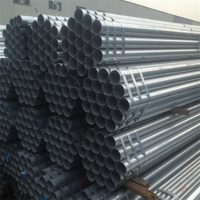 1770346036745185.jpg